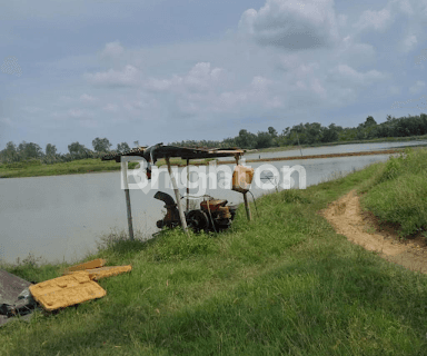 Tanah Bekas Tambak Daerah Bancaran Bangkalan Madura 1