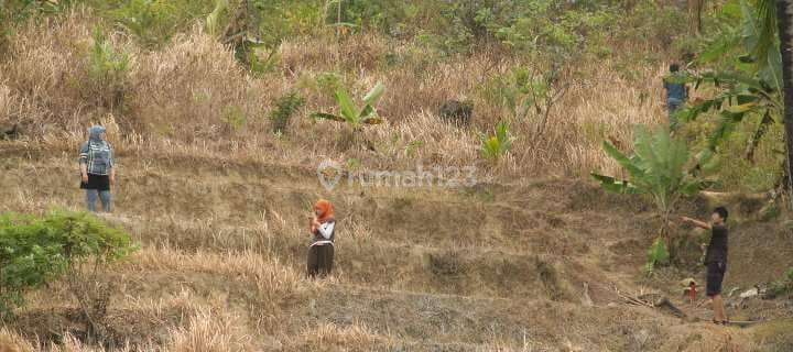 LAHAN MATANG SEBERANG PANTAI  1