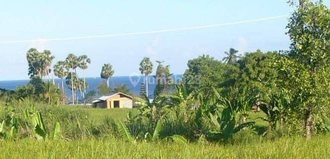 MAKE AN OFFER ! 2600m2 Land FREEHOLD at East Coast Bali + Sunrise and Ocean View, Saba 1