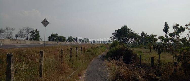 Tanah di Daerah Kersana Dekat Tol 1