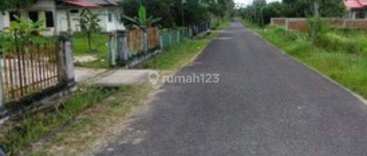 Tanah produktif di Manggar Belitung Bangka Belitung 1