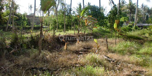 Tanah untuk pemukiman dengan pemandangan sawah di saba gianyar 1