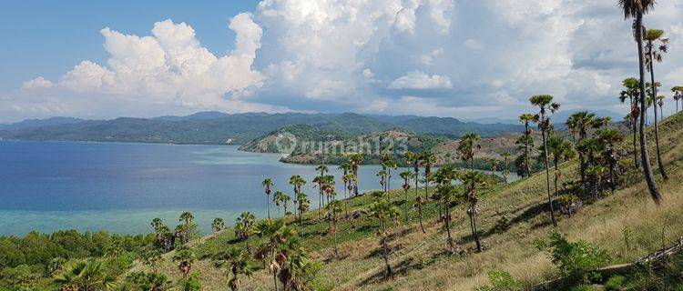 Prime Waterfront 50.000m2 FREEHOLD Land at Labuan Bajo, Flores 1