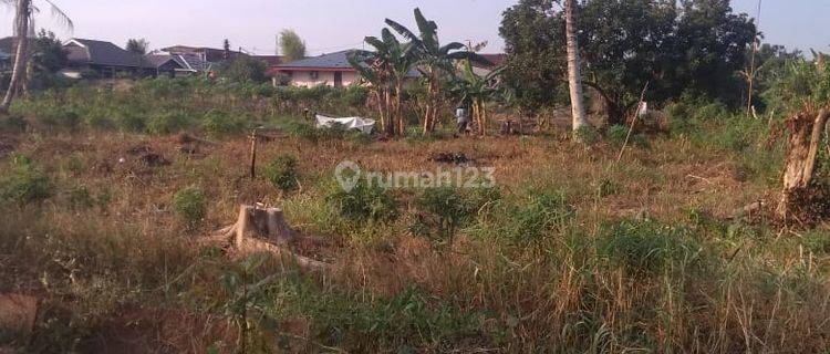 Tanah Murah Pinggir Jalan Siap Bangun Rumbai 1