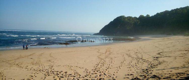 Beautiful Beach Front Land In Wane Beach Sumbawa 1