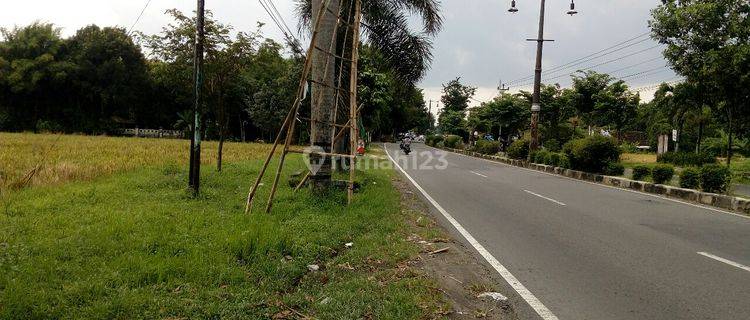 Tanah Murah Strategis di Raya Solo Tawangmangu, Karanganyar 1