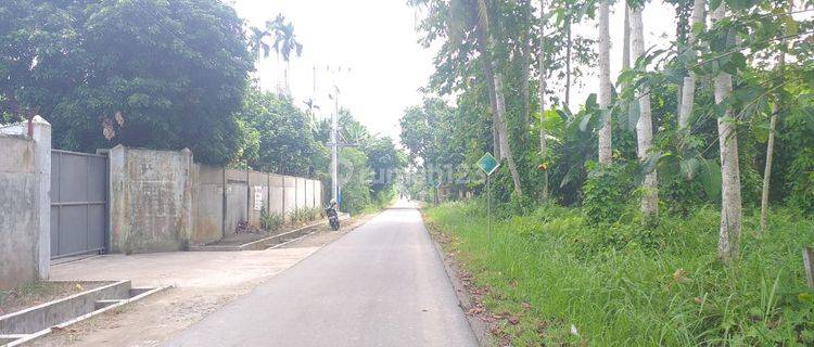 Tanah Jl. Bandar Labuhan Bawah Dusun II Tanjung Morawa 1