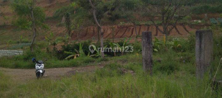 Tanah puncak cisarua di bawah NJOP 1