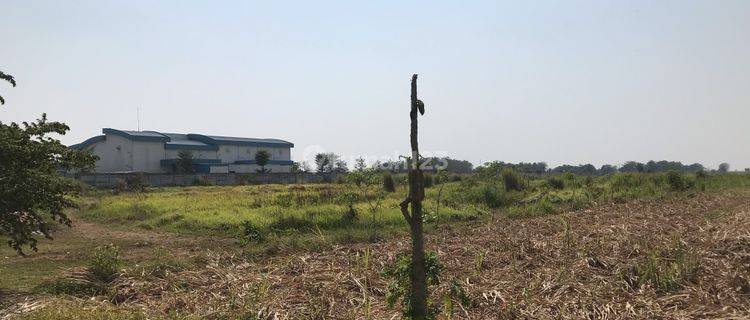 Tanah Industri di Jiken, Tulangan, Sidoarjo 1