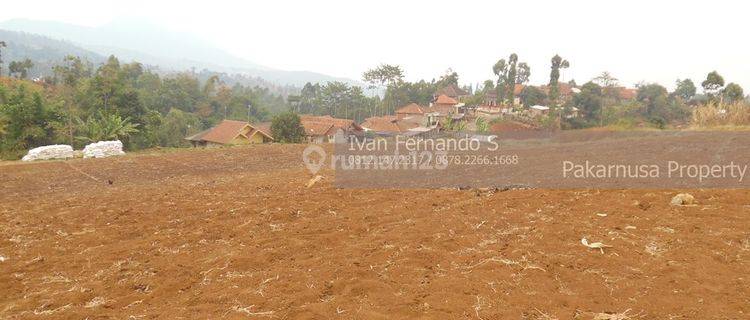 Tanah kebon desa cimenyan bandung ada view bisa beli setengah 1