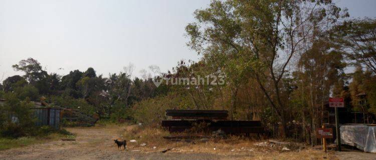 Tanah cocok untuk business center di batakan 5,9 ha posisi strategis lebar 73 m 1