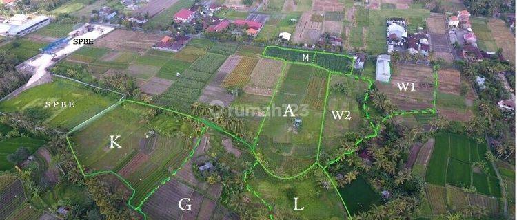 STRATEGIC LOCATION ! 21.165m2 Land SHM on Jl. Raya Krasan 1