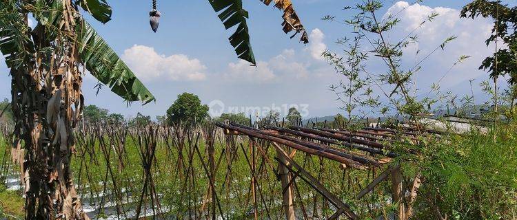 lahan luas di bandungan 1