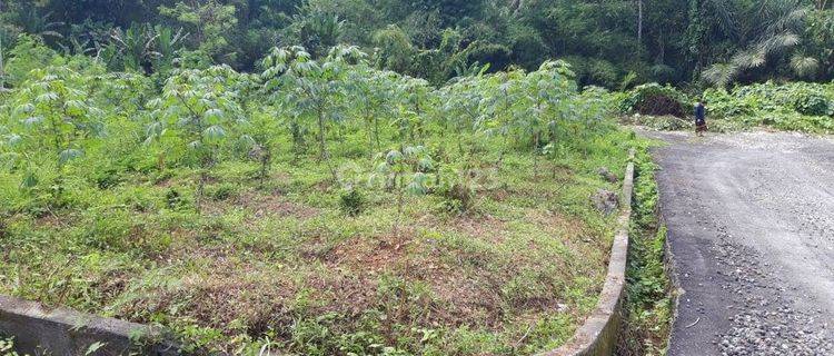 Tanah Kavling di Sembung Kerambitan Tabanan 1