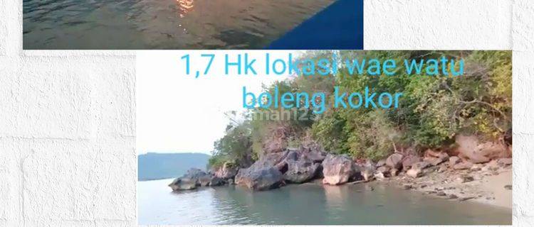 Tanah Strategis Di Desa Wae Watu boleng kokor NTT 1