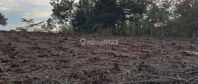 Tanah luas lokasi strategis di cikembar sukabumi 1