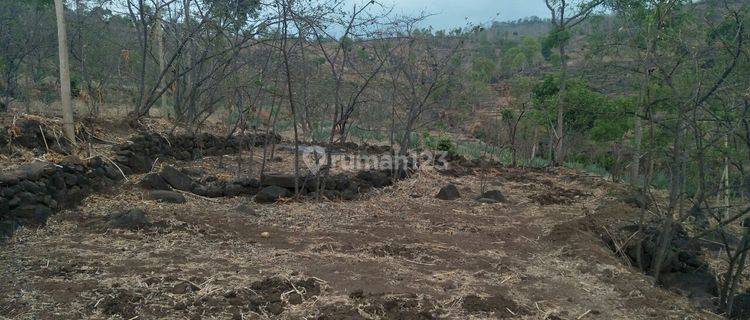 Tanah Murah Prospek Menguntungkan 1