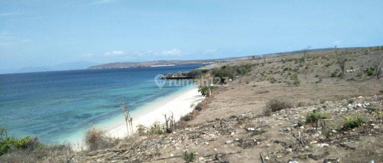 Lahan Murah Los Pantai Pink Lombok Harga Nego Sampi Deal 1