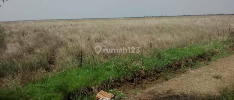 Tanah Strategis Bangun Ruang Gudang Pinggir Jalan Kertasari Losarang 1