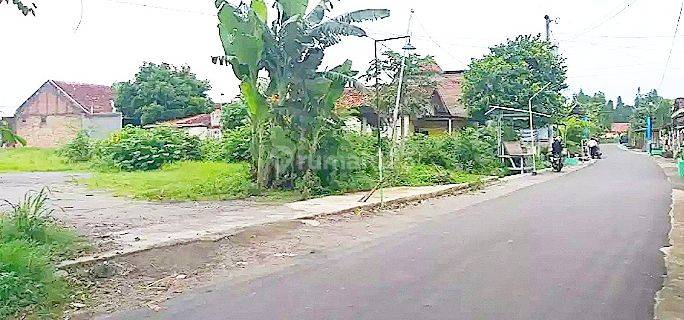 Tanah Luas 6000 Meter Pekarangan Jogja Selatan 1