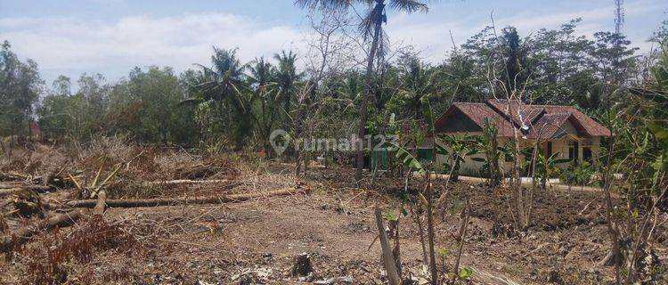 Tanah Murah Dekat Bandara NYIA 1