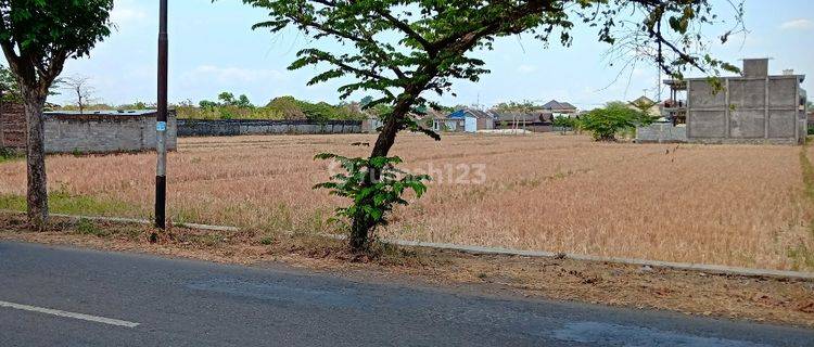 Tanah Kering Siap Bangun Lokasi Tasikmadu Jaten 1