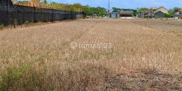 Tanah Kering Siap Bangun Lokasi Jaten Karanganyar 1