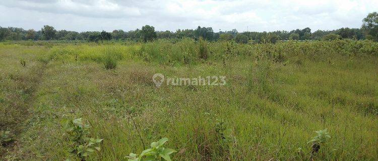 tanah padat siap bangun pabrik 1