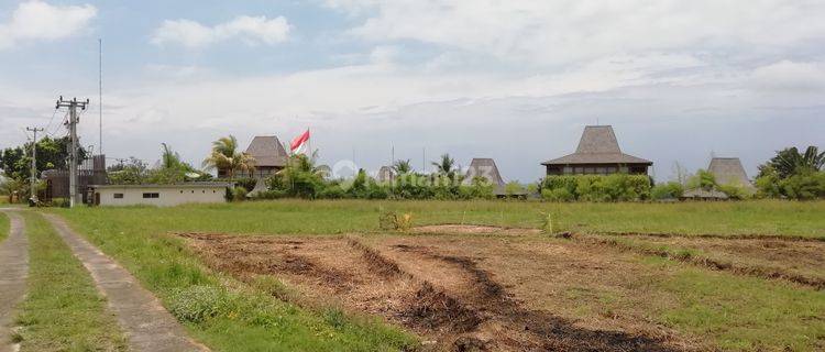 Tanah view sawah dekat Alami Boutique Villas &amp; Resort Bali 1