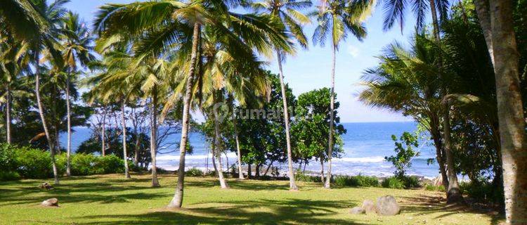 Tanah Los Pantai Dijual, Luas 12.300m2, Pekutatan, Jembrana, Bali 1