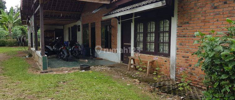 Tanah perkebunan murah di cikembar sukabumi 1