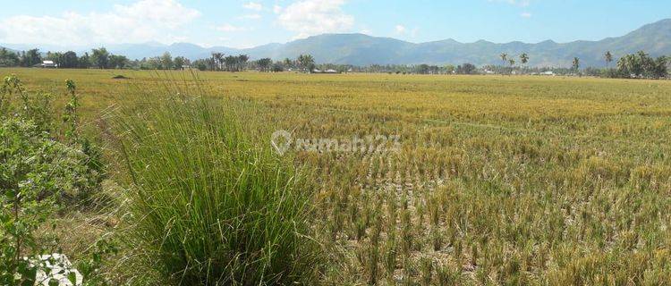 Tanah Siap Bangun Lokasi Strategis Harga Nego di Tilongkabila Gorontalo 1