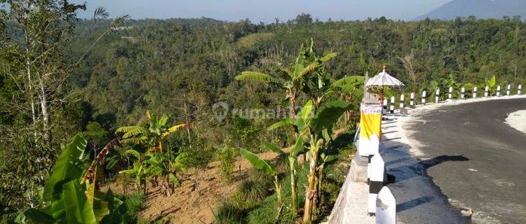 Tanah pinggir jalan utama Mengani cocok untuk villa 1