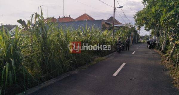 Tanah dekat dengan Obyek Wisata Kertalangu dan Pantai Tangtu 1