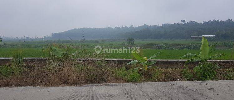 Tanah Zona Industri Depan Exit Tol Kabupaten Semarang 1