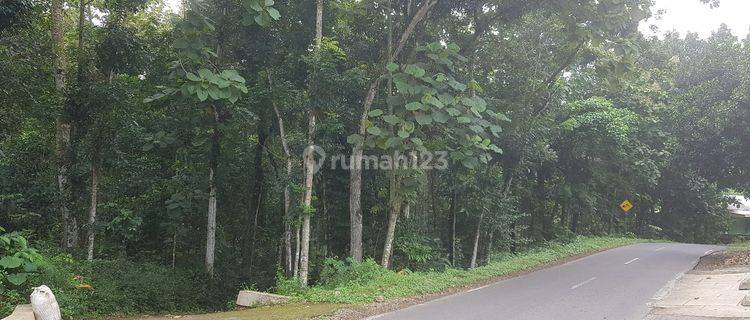 Tanah murah strategis pinggir jalan raya mojogedang karanganyar solo 1