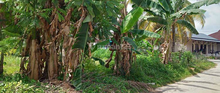 Tanah Tengah Kota Arifin Ahmad Dekat ICS 1