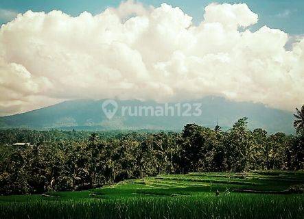 Tanah full view sawah super cantik cocok vila 1