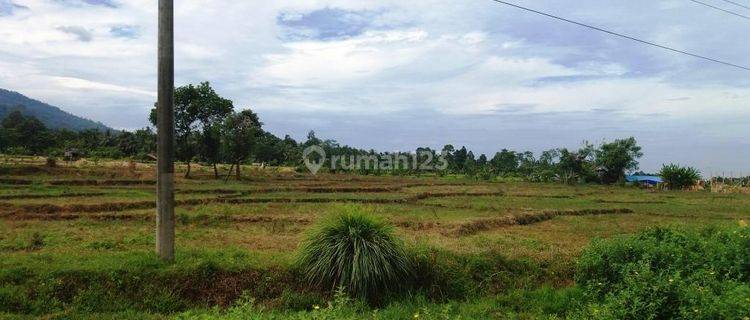 Dijual Tanah Murah Pinggir Jalan Trans Sumatera Lampung  1