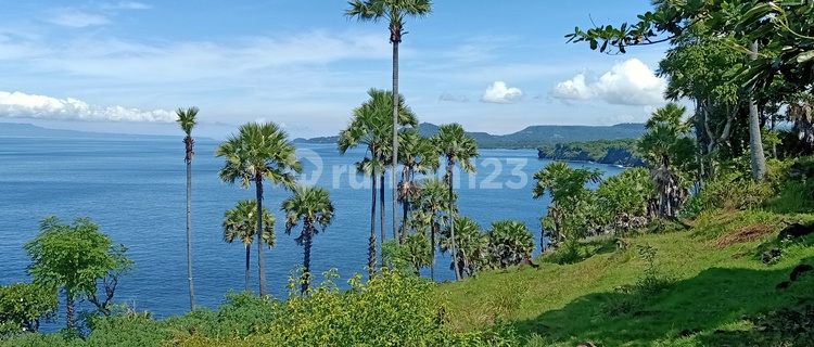 Land beach front 1