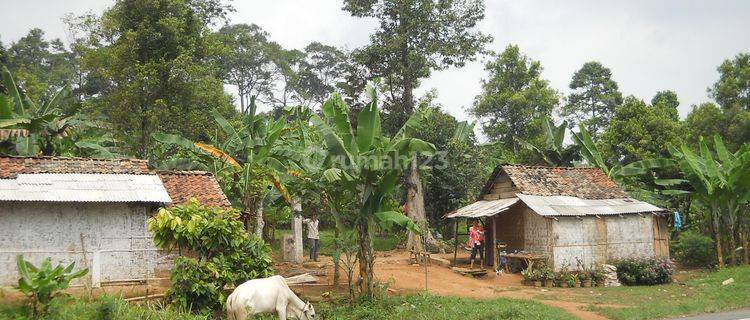 TANAH KEBUN DI JALAN  RAYA BAKAUHENI ( BABATAN ) LAMPUNG SELATAN 1