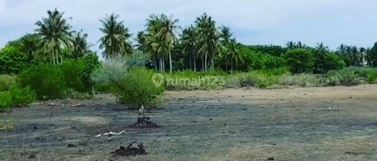 Tanah di Gili Gede, Dekat Pantai 1