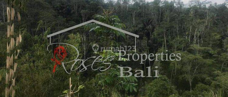 Covid19 Offer - Excellent River Side 2995m2 Land in Tegalallang Taro (Ubud) 1