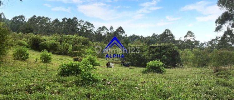 Dijual Tanah Sebelah Dusun Bambu Lembang 1