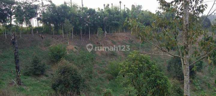 Tanah Ladang Limau Mungkur Dusun Batuk Tah Tanjung Morawa -T-0072 1