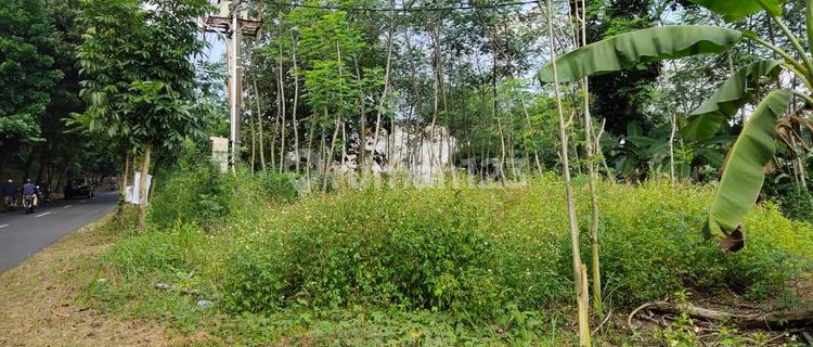 Plot Across Unika on Pawiyatan Luhur Street, Bendan Duwur. 1