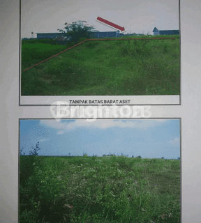 TANAH INDUSTRI RAYA MADIUN 1
