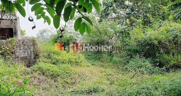 Kavling di Bendan Duwur Pawiyatan Luhur Gajahmungkur Semarang 1