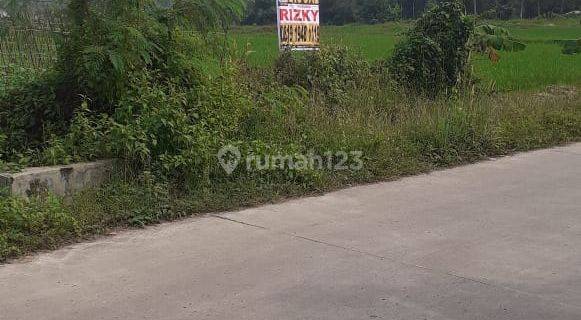 TerMurah... Tanah Luas 5553m2 di Tigaraksa Tangerang, Banten. 1