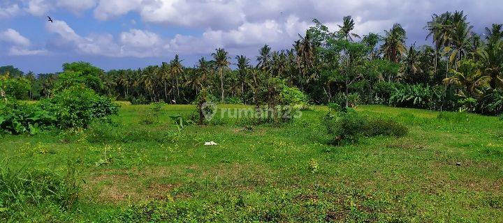 Land with beautiful rice field views in Ubud is suitable for a villa 1